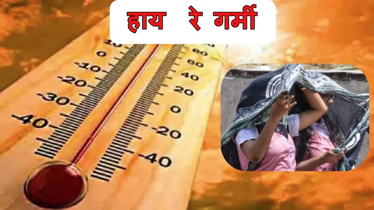 Weather Condition in Haryana