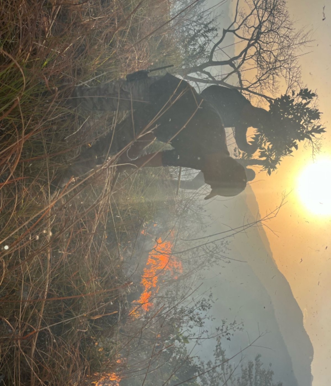 forests fire in mussoorie