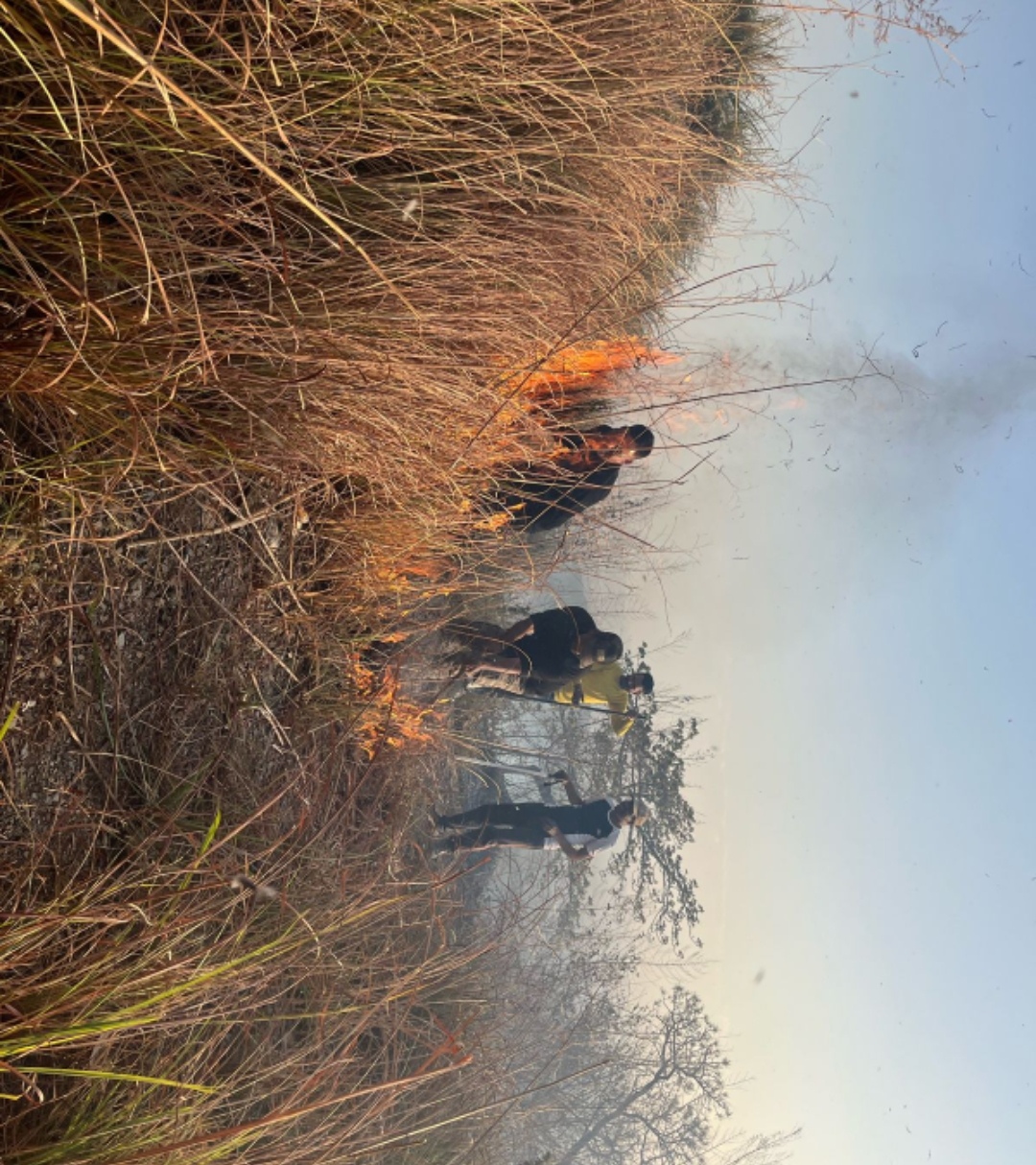 forests fire in mussoorie