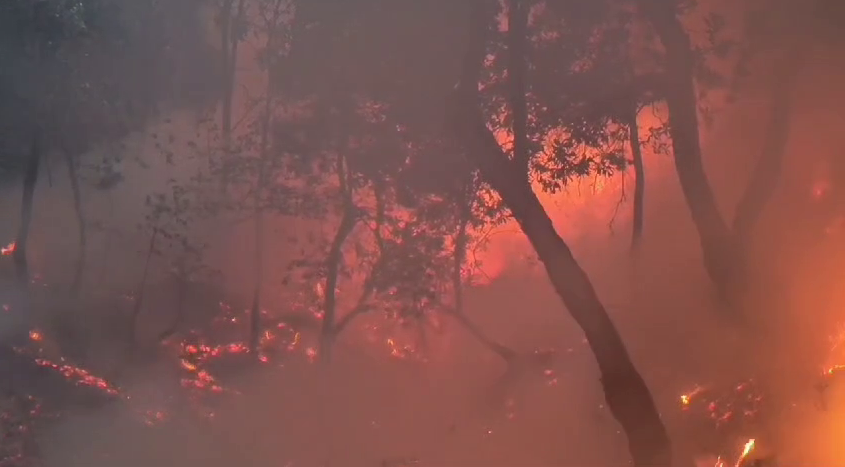 Forest Fire in Uttarakhand