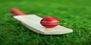 Boy Died playing cricket