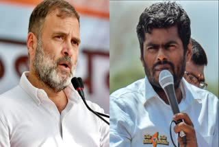 RAHUL GANDHI RAEBARELI CANDIDATURE  TAMILNADU BJP PRESIDENT K ANNAMALAI  രാഹുല്‍ ഗാന്ധി റായ്ബറേലി  ബിജെപി അധ്യക്ഷൻ കെ അണ്ണാമലൈ