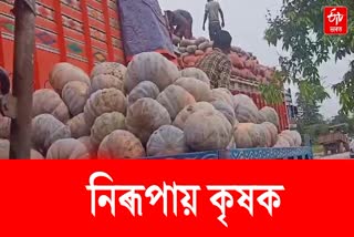 Farmers face difficulties in Golaghat
