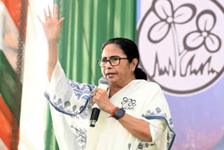West Bengal Chief Minister Mamata Banerjee on Monday alleged that the BJP is preparing a blueprint of lies to win the Lok Sabha elections.