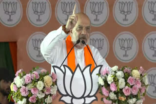 There will be 'jungle raj' in the country if INDIA bloc partners - Congress and RJD - are voted to power, Union Home Minister Amit Shah said here on Monday.