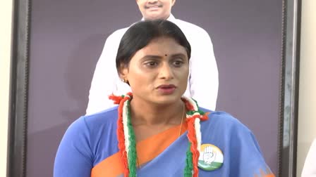 ys sharmila comments on jagan