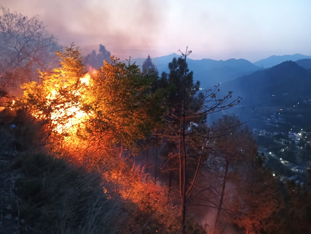 forest fire in Uttarakhand