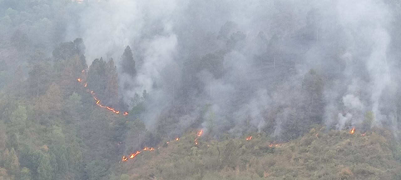 forest fire in Uttarakhand