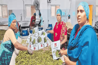 from-family-kitchen-to-global-markets-how-muvva-pragati-built-a-100-crore-traditional-food-empire