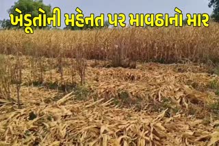 સાબરકાંઠામાં માવઠાથી નુકસાન