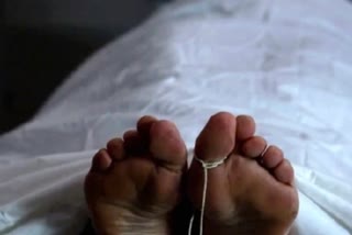 பிரதிநித்துவப்படம்