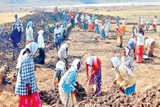 Fish Ponds Scheme In Telangana