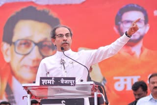 shivsena ubt local body election