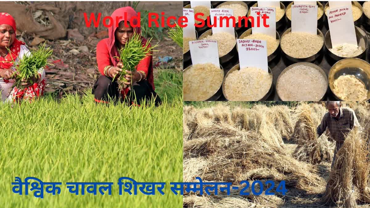 World Rice Summit