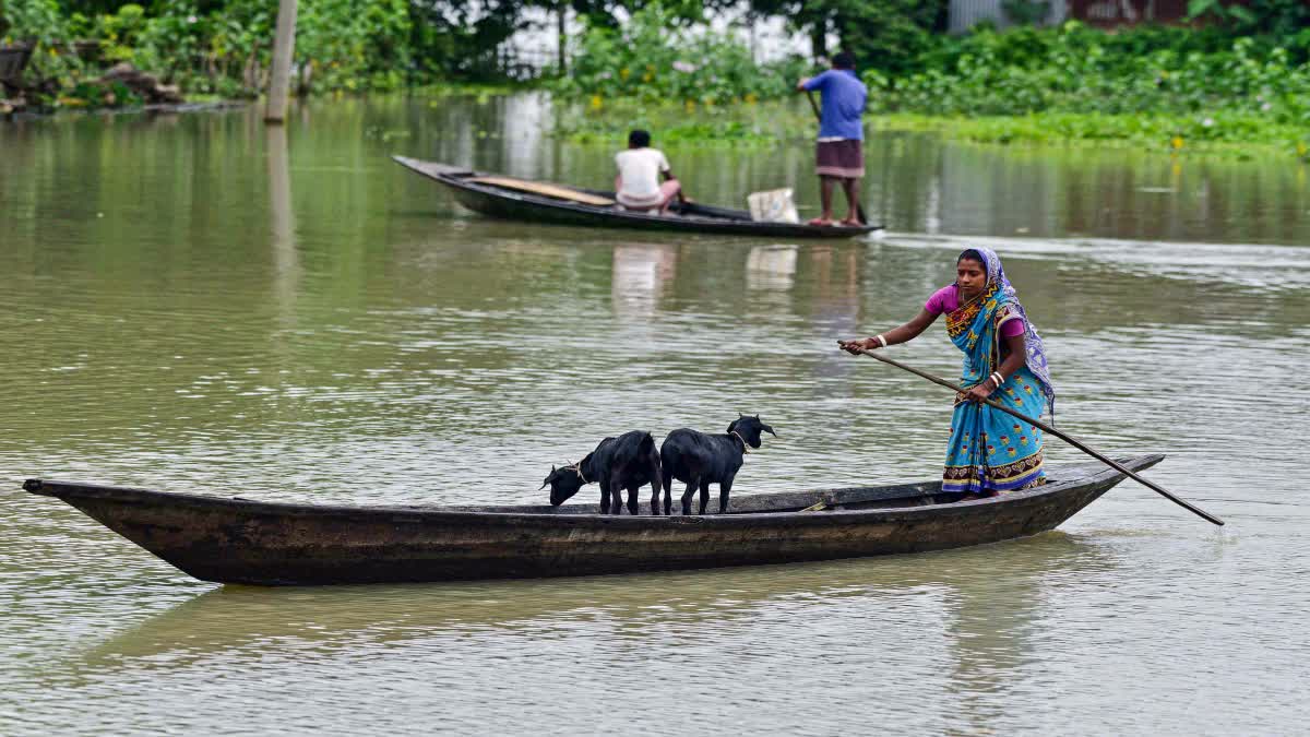 Assam Flood situation