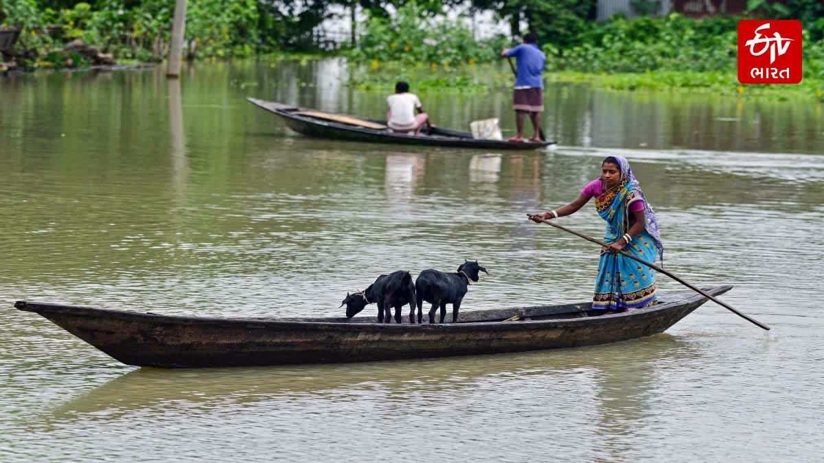 આસામમાં પૂરની સ્થિતિ ગંભીર