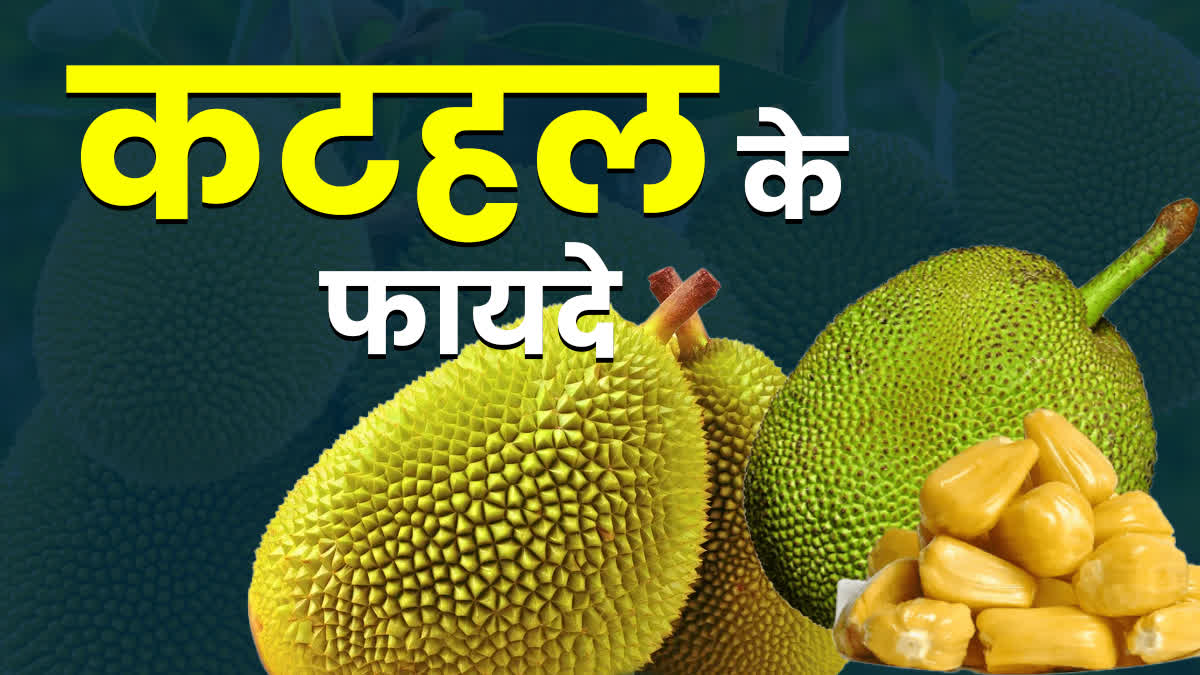 JACKFRUIT EATING BENEFITS