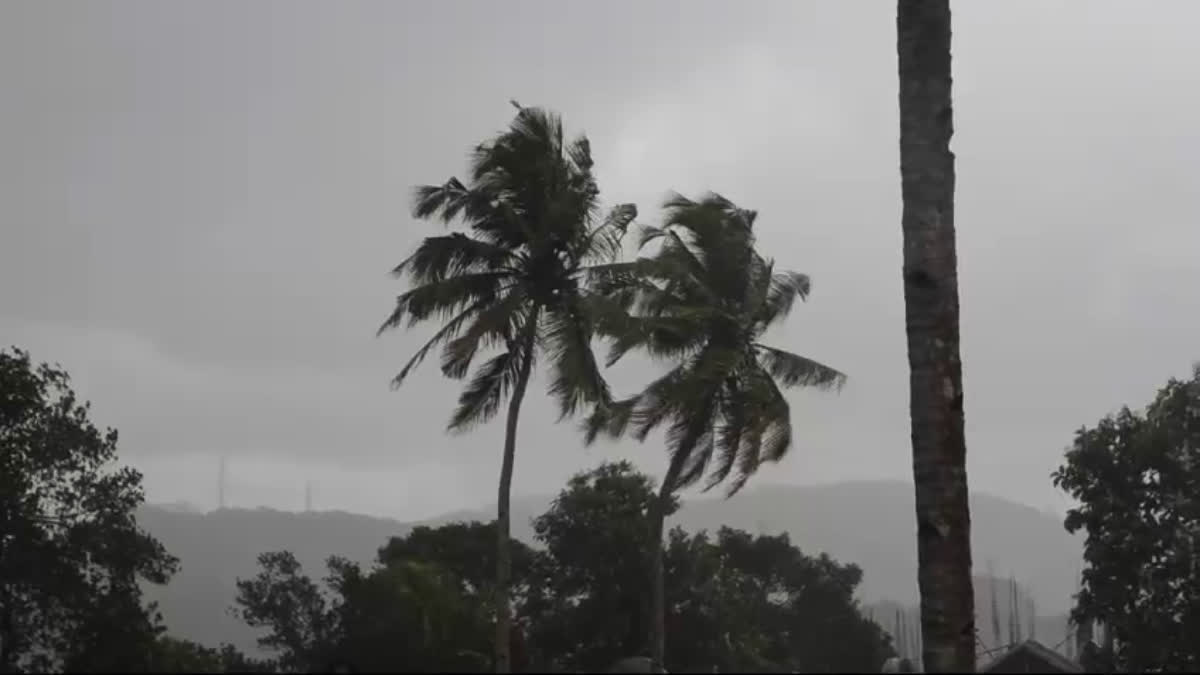 കേരളത്തില്‍ കാലവർഷം കനക്കും  Rain Updates In Kerala  Monsoon will Be Heavy In Kerala  സംസ്ഥാനത്ത് വ്യാപക മഴ