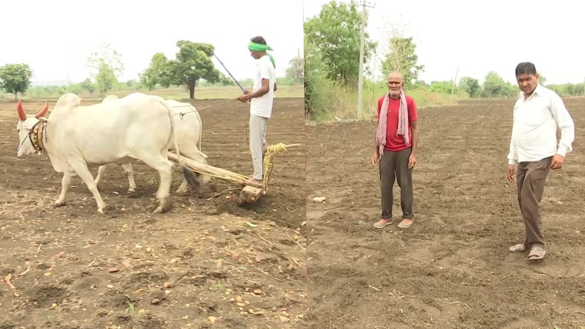 Farmers waiting for rain In Adilabad