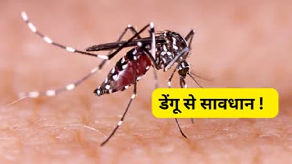 DENGUE SPREAD IN INDORE