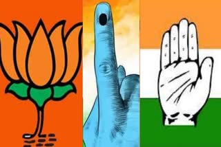 BJP Vote Share In Lok Sabha Polls 2024