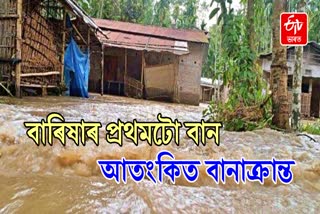 Assam Flood situation