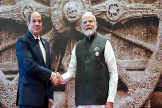 PM MODI AND Abdel Fattah el-Sisi