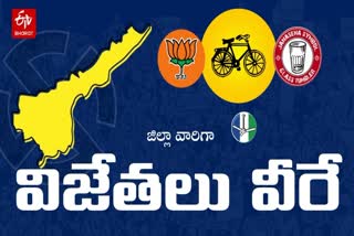 Andhra Pradesh Elections Winning MLA Candidate