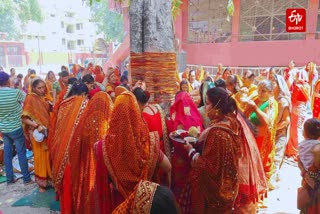 Worship of Banyan tree