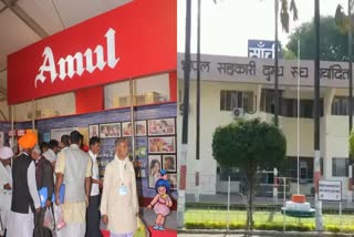 no Merger Sanchi milk with amul