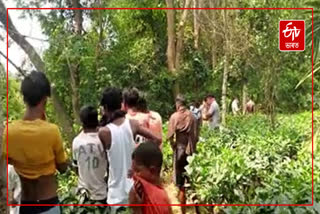 Sensation over dead body found at Sesa river in Dibrugarh