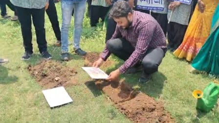 TMCPs Tree Plantation Controversy