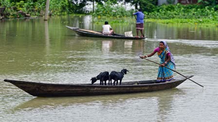 Assam Flood situation