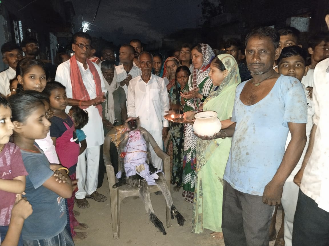 Monkey last rites performed in Burhanpur