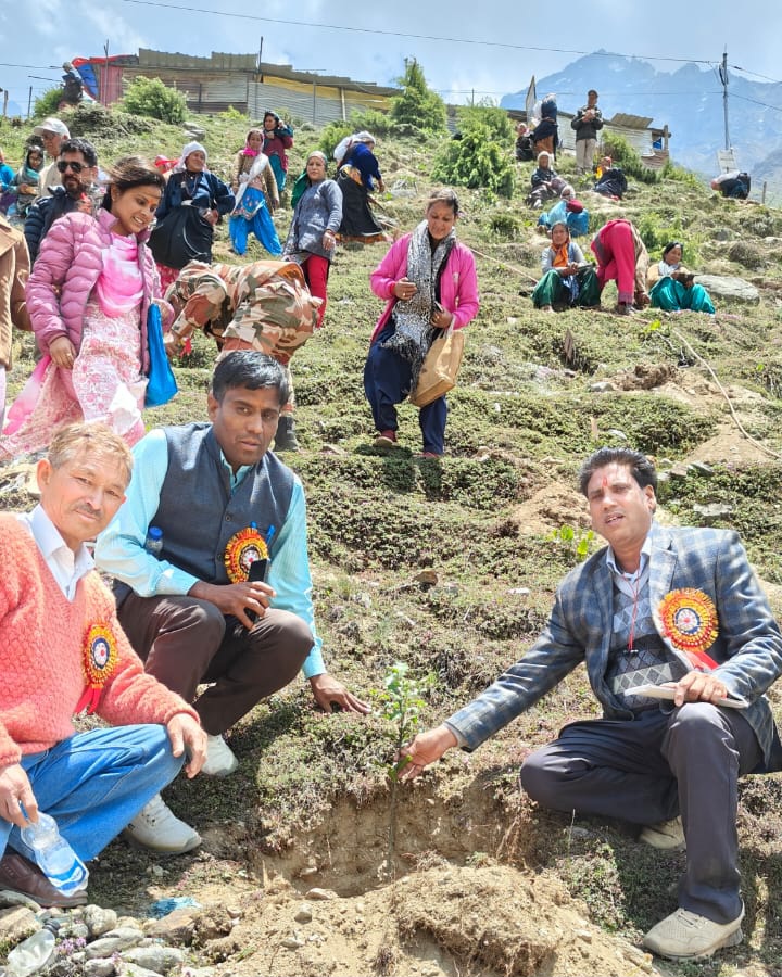 Bhojpatra plantation campaign