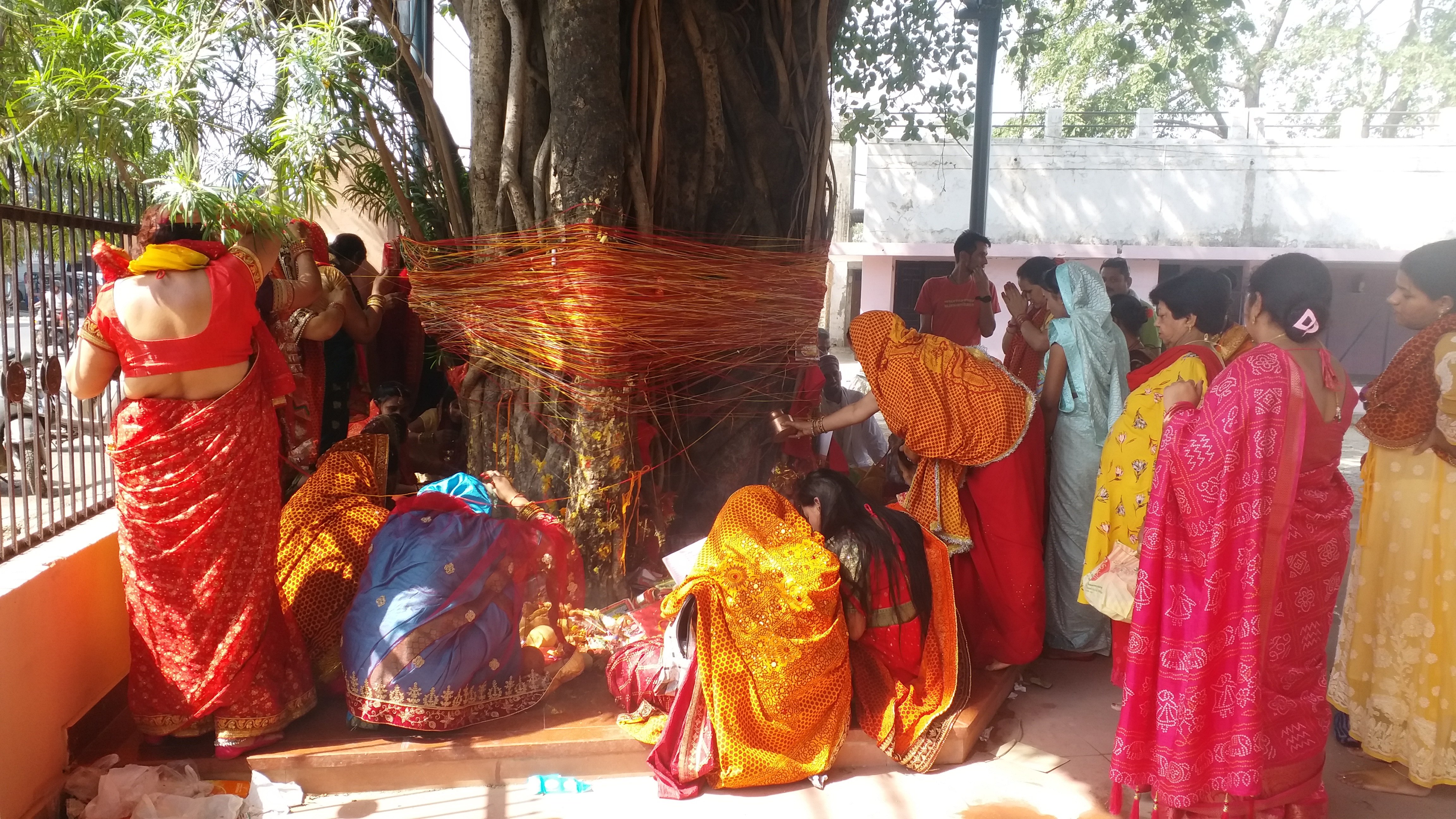 Vat Savitri Puja