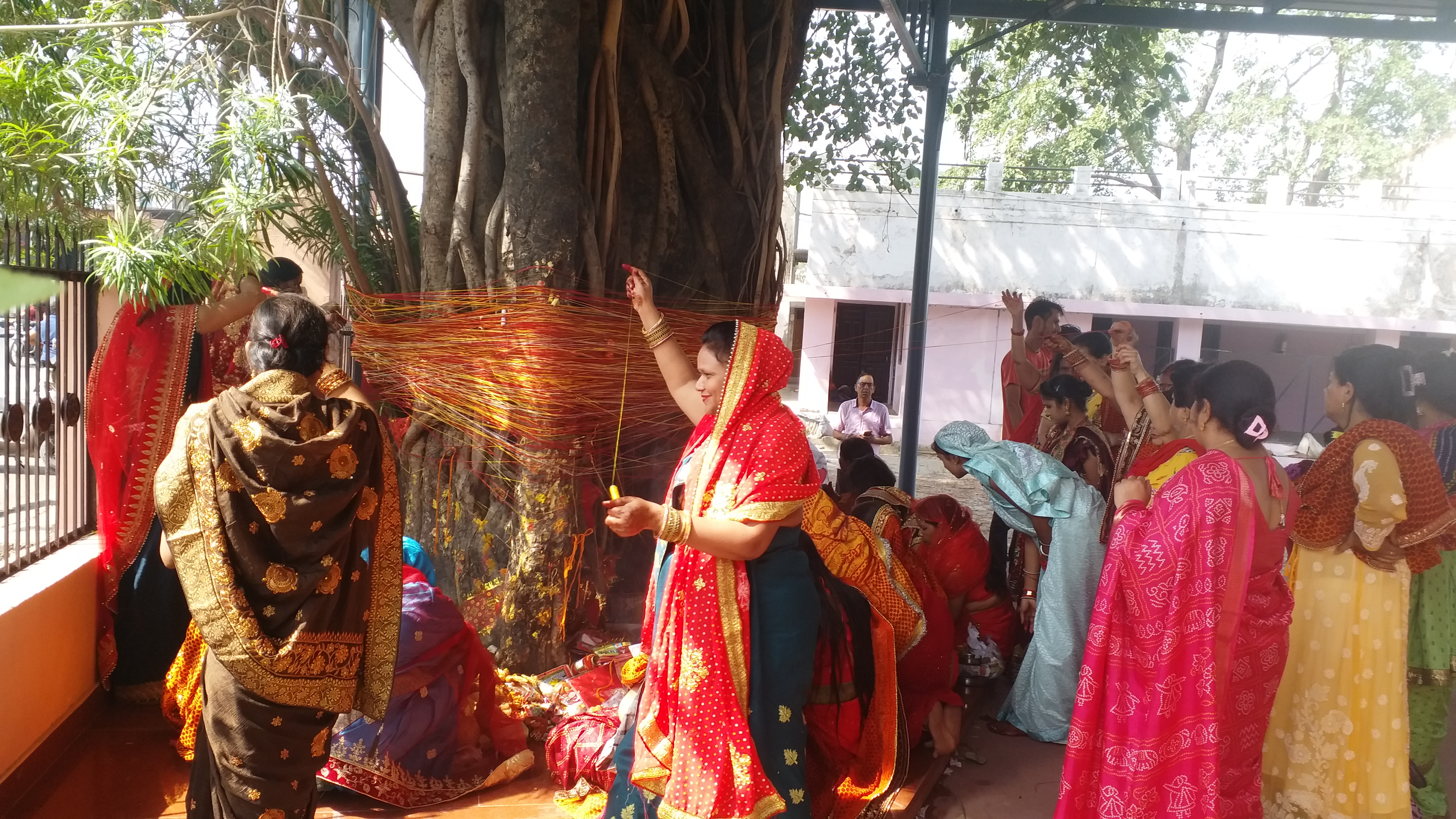 Vat Savitri Puja