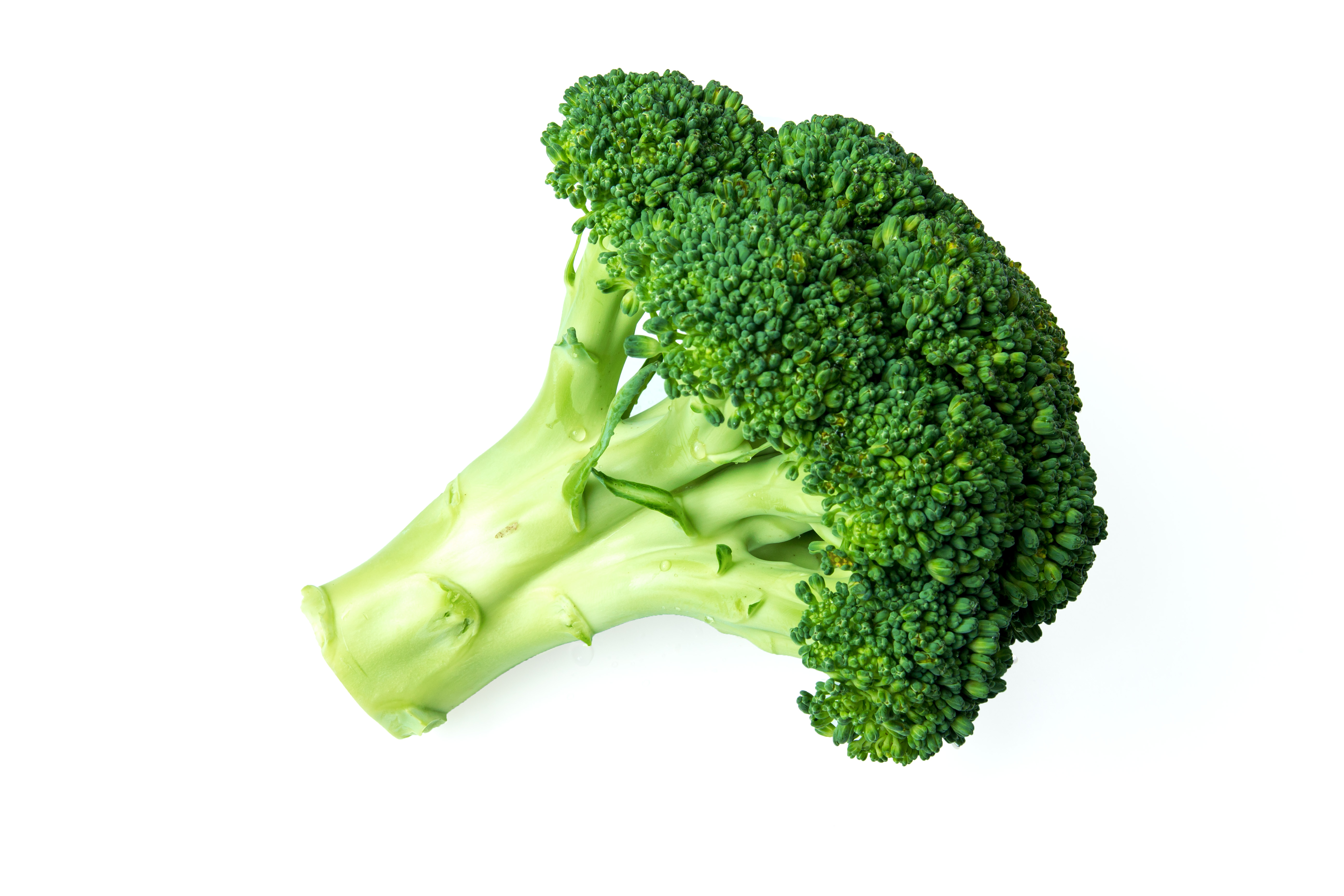 VEGETABLES THAT BURN BELLY FAT EFFECTIVE TIPS TO LOSE BELLY FAT WEIGHT LOSE TIPS VEGETABLES THAT HELP CUT BELLY FAT