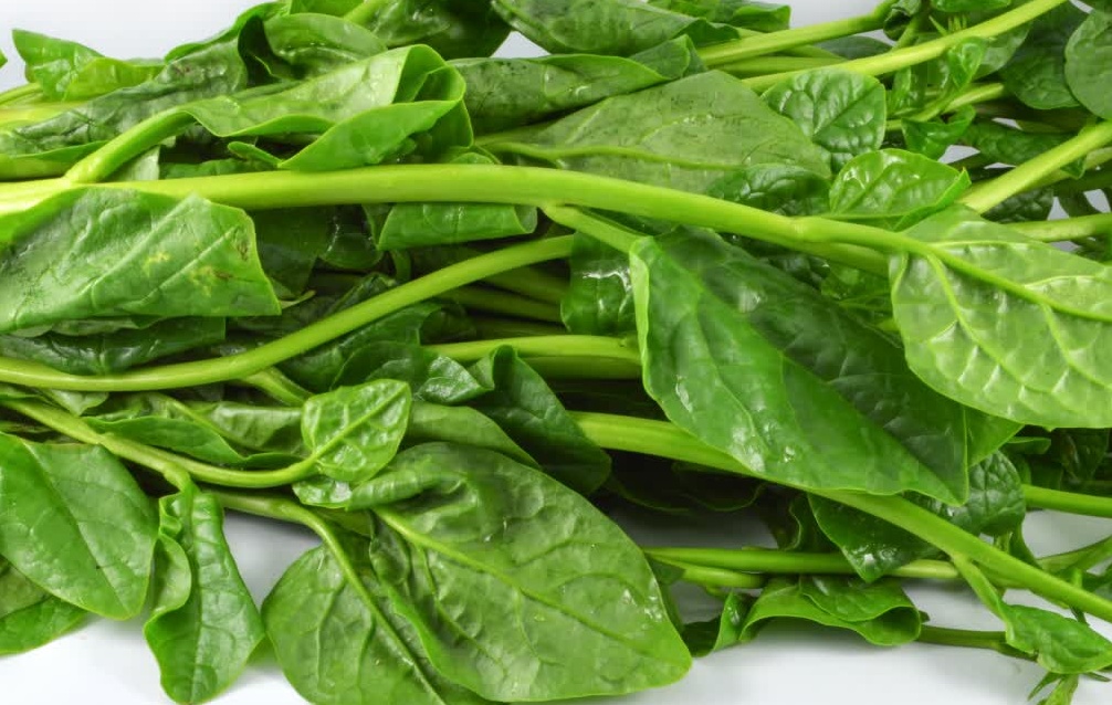 VEGETABLES THAT BURN BELLY FAT EFFECTIVE TIPS TO LOSE BELLY FAT WEIGHT LOSE TIPS VEGETABLES THAT HELP CUT BELLY FAT