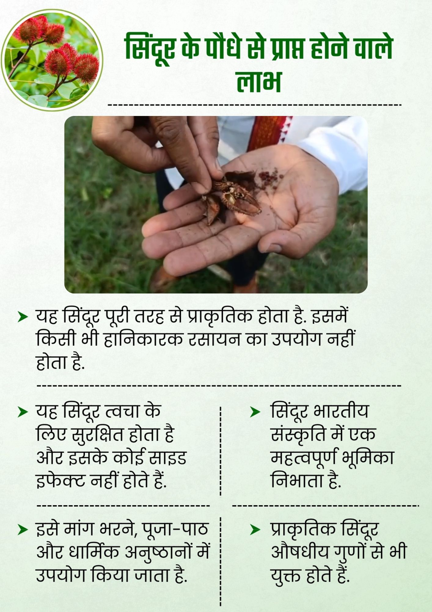 सिंदूर की खेती कम लागत में होती है.
