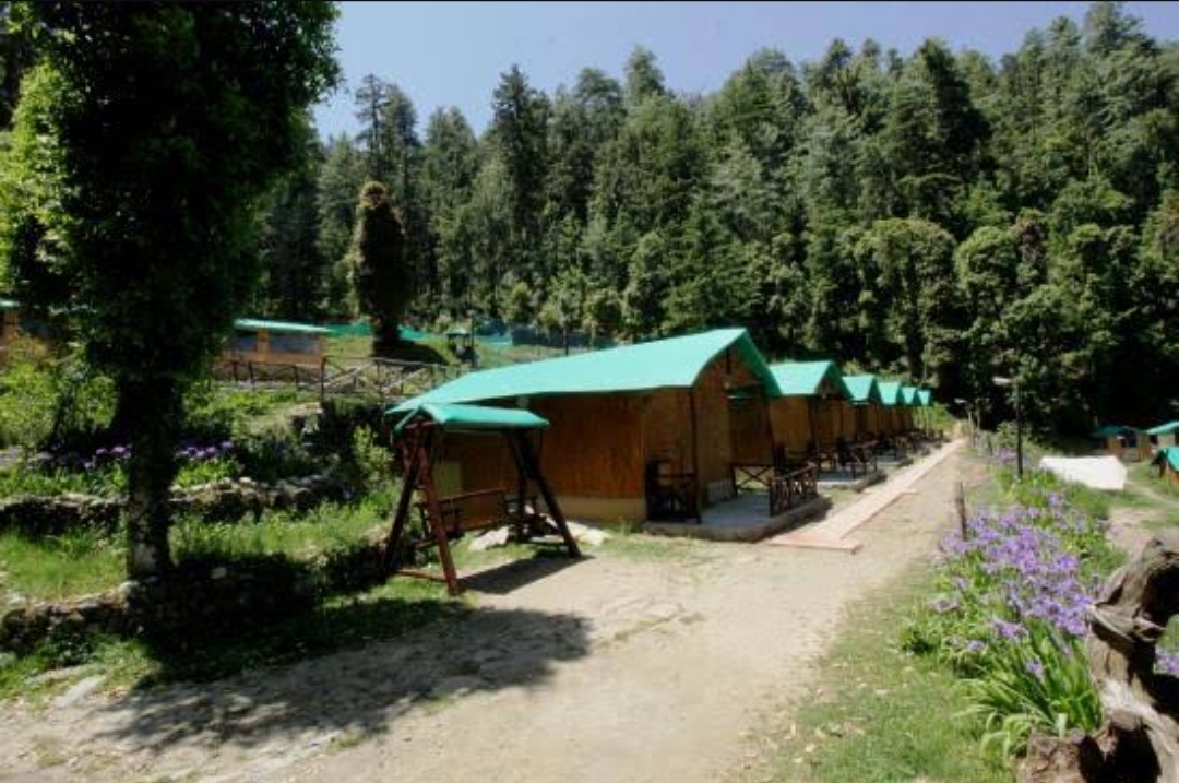 जंगलों में बनाए जाएंगे हट्स