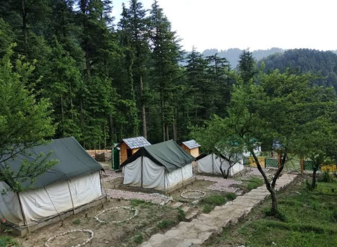 ईको टूरिज्म के तहत जंगलों में विकसित होंगे टूरिस्ट साइट्स