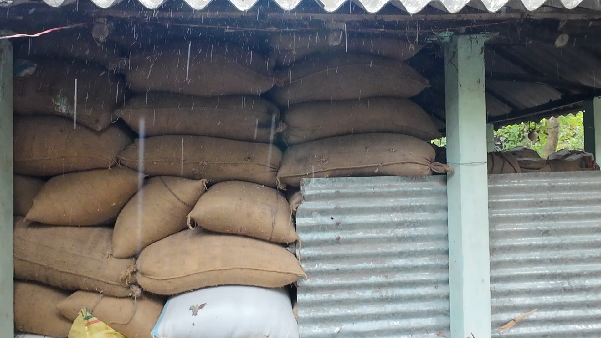 RABI CROP PADDY SELLING PROBLEM