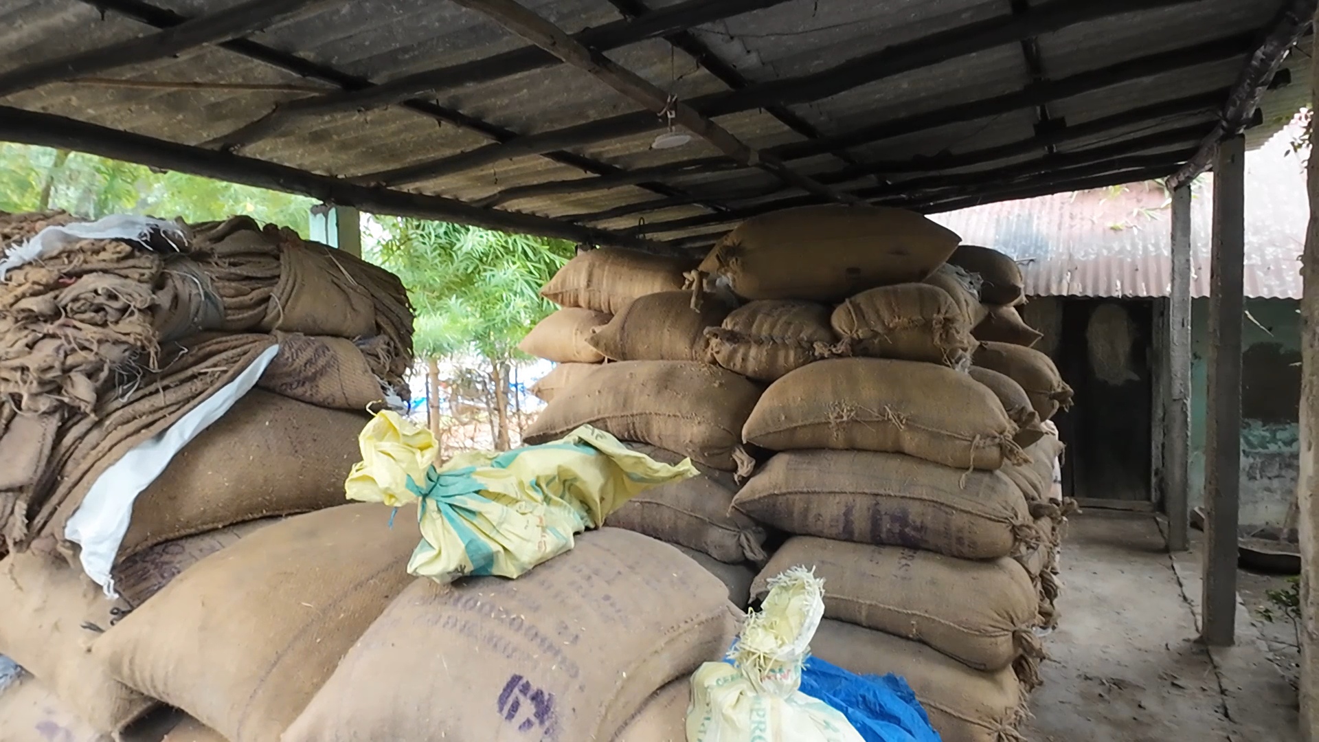 RABI CROP PADDY SELLING PROBLEM