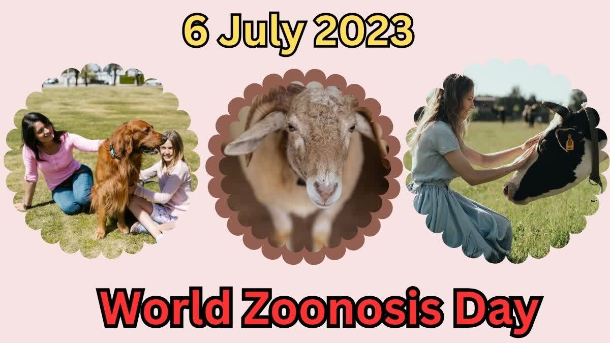 World Zoonosis Day