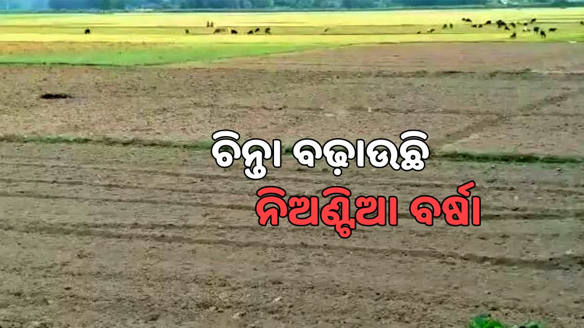 farmers facing problem