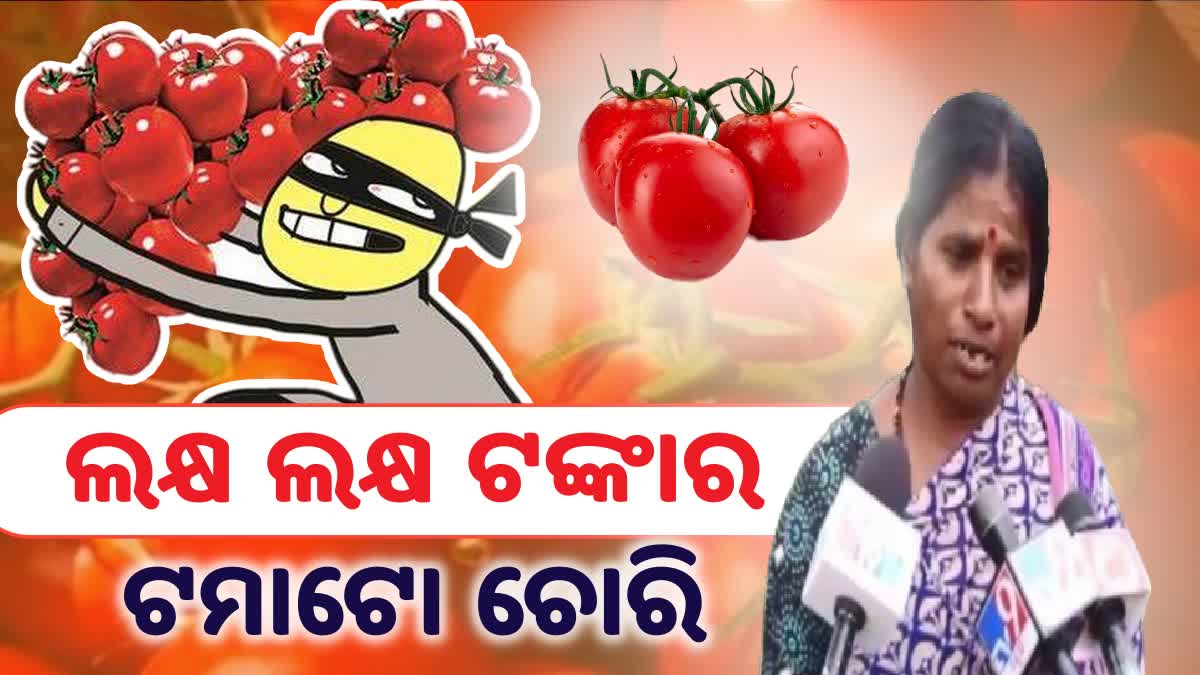 Tomatoes stolen worth more than two lakhs
