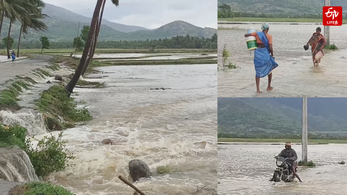 மேற்கு தொடர்ச்சி மலைப் பகுதிகளில் பெய்து வரும் தொடர் கனமழையால் பொதுமக்கள் அவதி