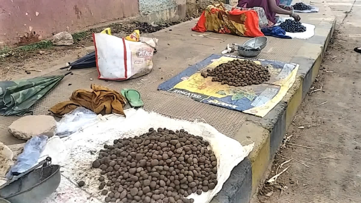 Putu Craze In Surguja