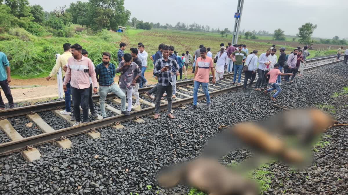 Surendranagar News : સુરેન્દ્રનગરના ખાટડી પાસે ટ્રેનની અડફેટે 8 પશુઓના મોત, 1 વ્યક્તિ ઇજાગ્રસ્ત